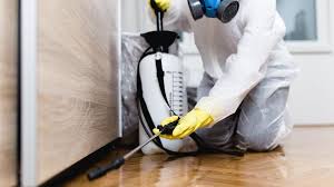 Emergency Pest Control Services in Unicoi, TN